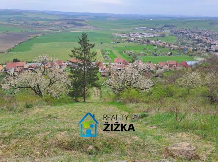 Prodej - pozemek, zahrada, 942 m²