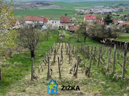 2 | Prodej - pozemek, zahrada, 942 m²