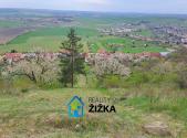 Prodej - pozemek, zahrada, 942 m²