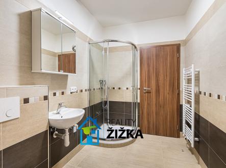 fotobytyrousinov (21) | Pronájem bytu, 1+kk, 24 m²