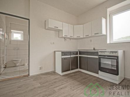 Pronájem bytu, 1+1, 44 m² obrázek