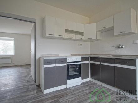 Pronájem bytu, 1+1, 44 m² obrázek