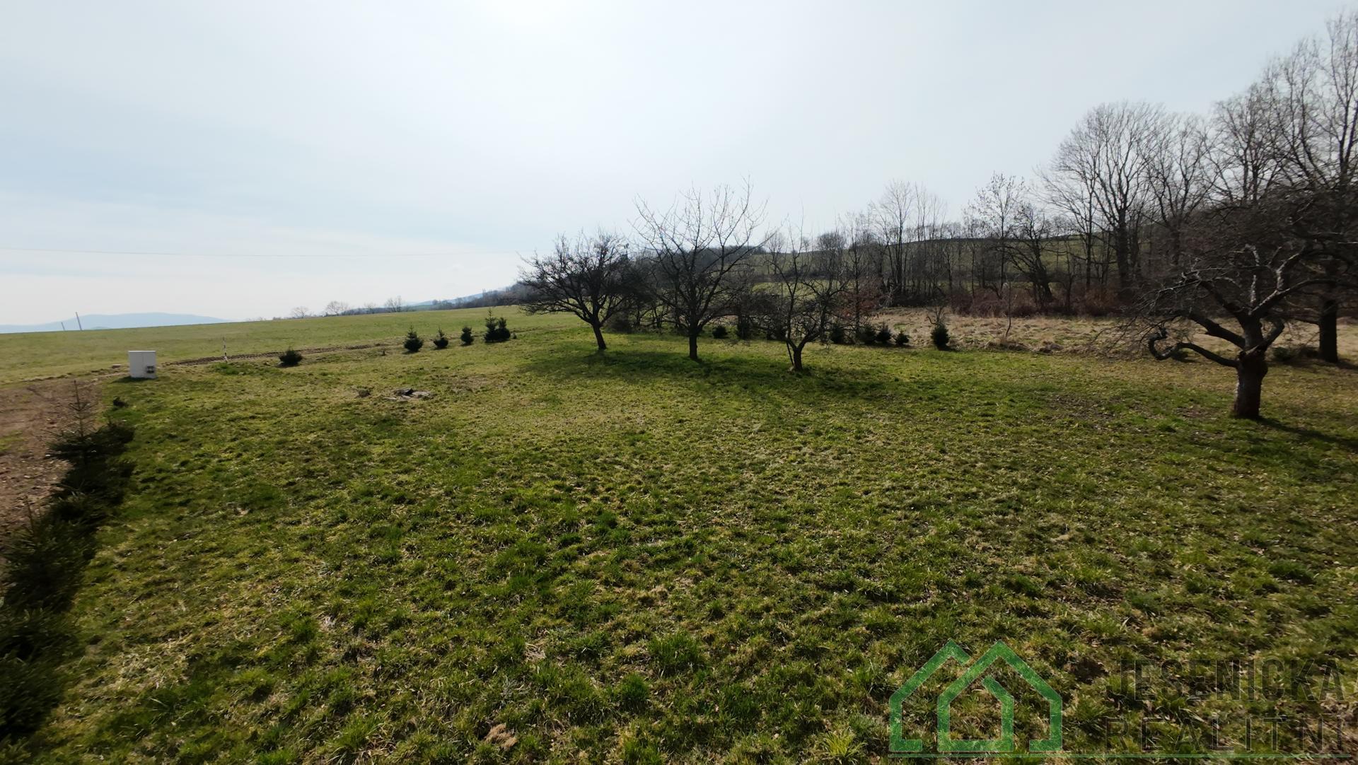 DJI_20260324130636_0070_D.JPG