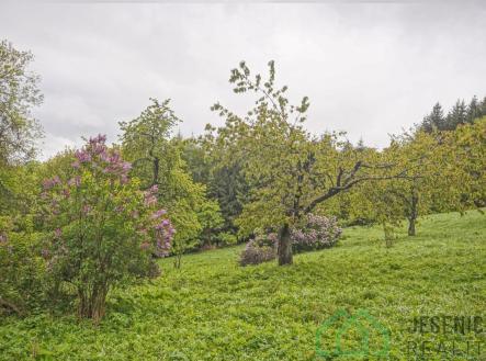 DSC05776.jpg | Prodej - pozemek, trvalý travní porost, 2 772 m²