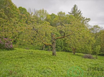 DSC05782.jpg | Prodej - pozemek, trvalý travní porost, 2 772 m²