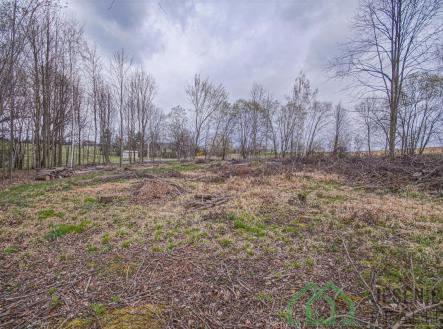 DSC05296.jpg | Prodej - pozemek, zemědělská půda, 6 787 m²