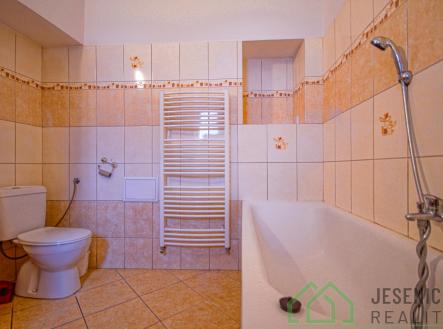 DSC05396.jpg | Pronájem bytu, 2+1, 65 m²