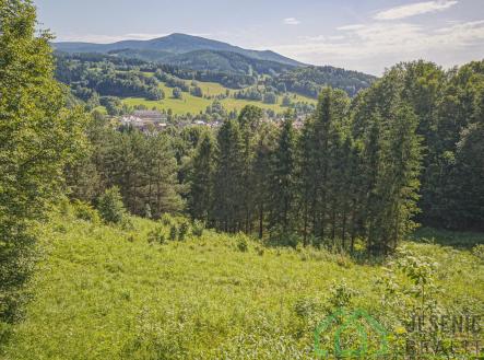 DSC06041.jpg | Prodej - pozemek, zemědělská půda, 12 392 m²