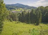 Prodej - pozemek, zemědělská půda, 12 392 m²