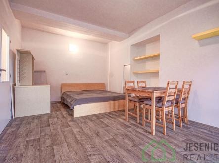 DSC03116.jpg | Pronájem bytu, 1+1, 42 m²