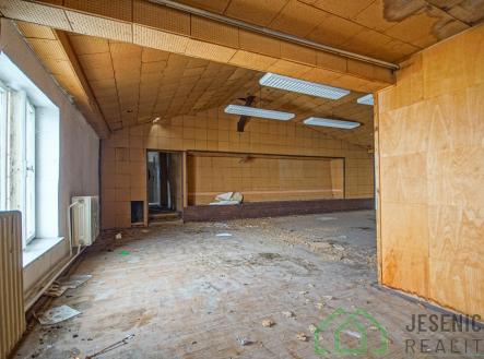 DSC07342.jpg | Prodej - dům/vila, 790 m²