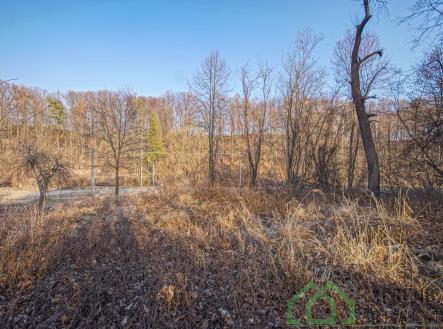 DSC07676.jpg | Prodej - pozemek pro bydlení, 15 640 m²