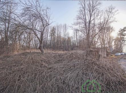 DSC07668.jpg | Prodej - pozemek pro bydlení, 15 640 m²