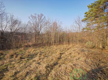 DSC07694.jpg | Prodej - pozemek pro bydlení, 15 640 m²