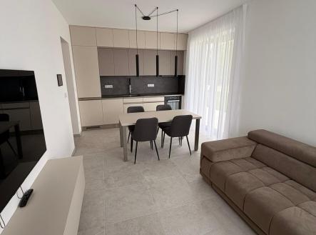 IMG_6888 | Pronájem bytu, 2+kk, 65 m²