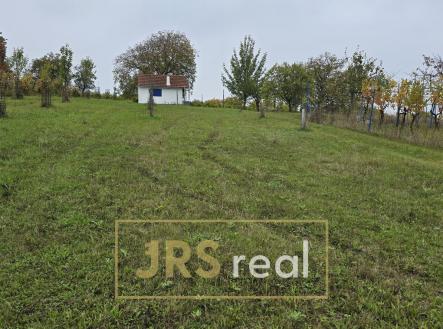 20240927_133313 | Prodej - pozemek, zahrada, 2 419 m²