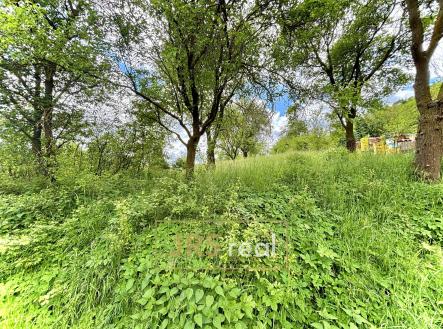 IMG_1360 | Prodej - pozemek, trvalý travní porost, 1 260 m²