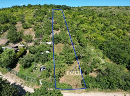 Prodej - pozemek, zahrada, 1 698 m² obrázek