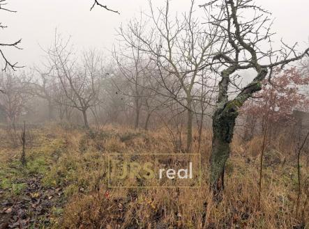 WhatsApp Image 2025-12-12 at 14.52.56 (4) | Prodej - pozemek, zahrada, 419 m²