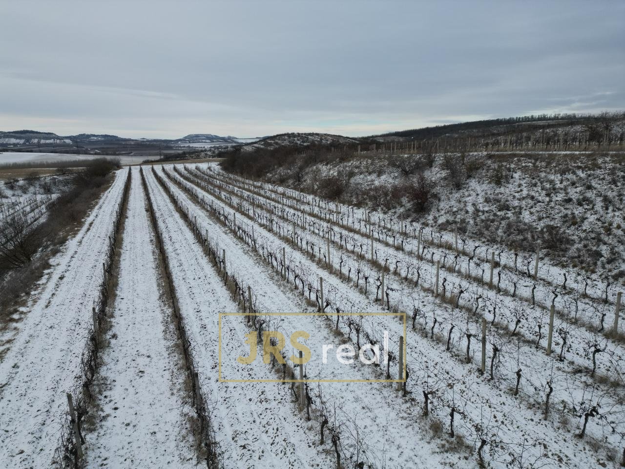 WhatsApp Image 2026-01-12 at 08.58.42 (1)