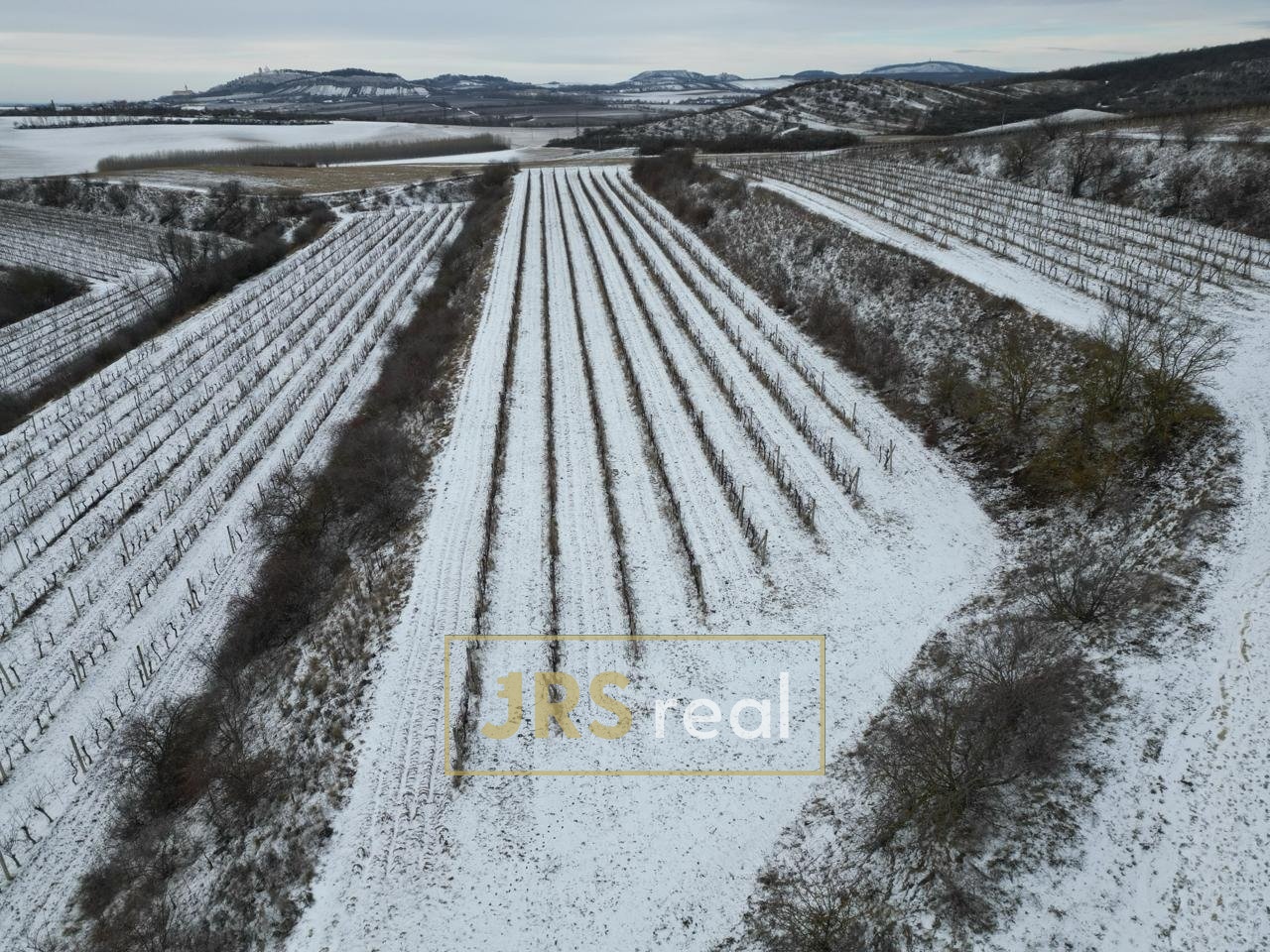 WhatsApp Image 2026-01-12 at 08.58.37