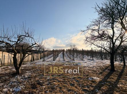 PHOTO-2026-01-18-15-40-52 | Prodej - pozemek, ostatní, 1 266 m²