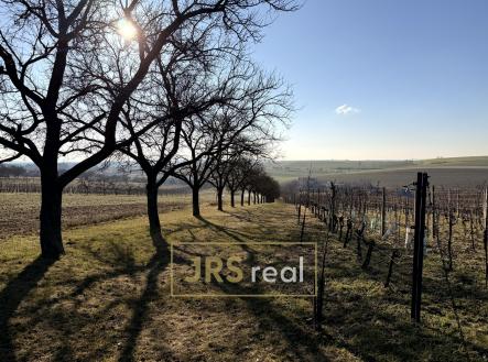 IMG_7176 | Prodej - pozemek, ostatní, 3 501 m²