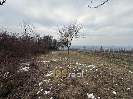 Prodej - pozemek, ostatní, 1 231 m²