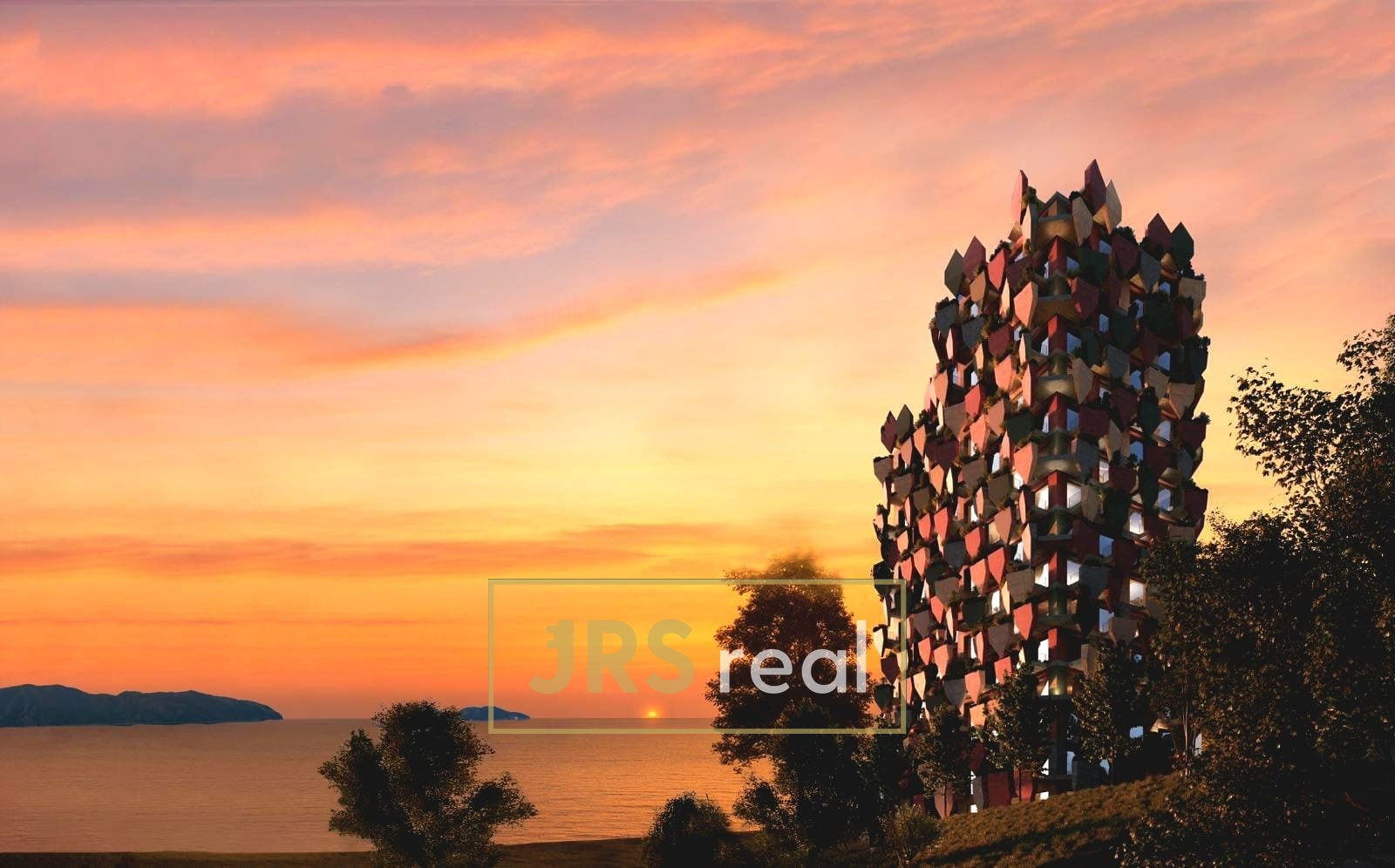 WhatsApp Image 2025-12-05 at 12.49.44 (1)