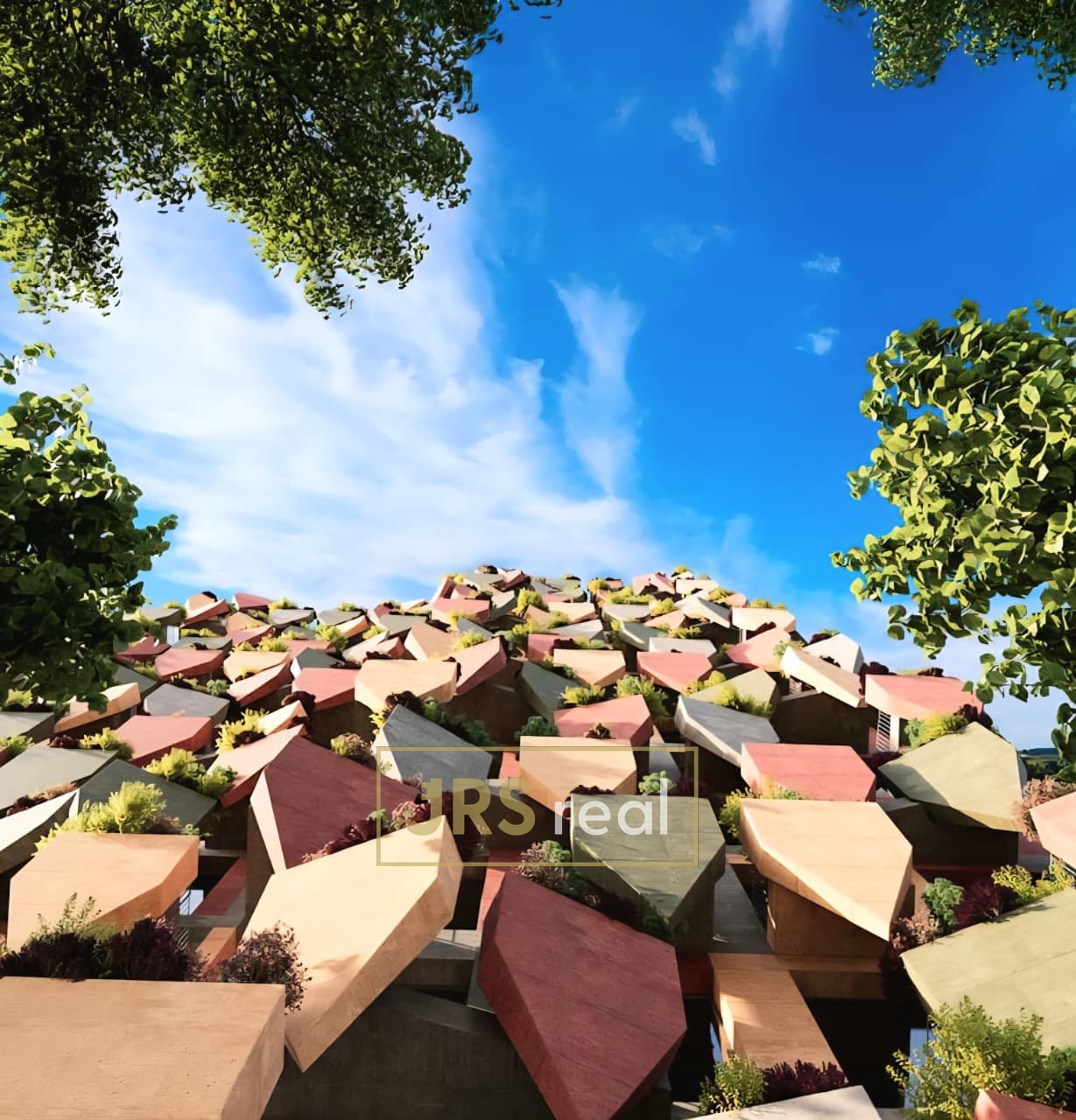 WhatsApp Image 2025-12-05 at 12.49.44