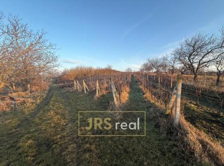 Fotka 1 | Prodej - pozemek, ostatní, 3 139 m²