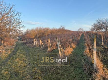 Fotka 2 | Prodej - pozemek, ostatní, 3 139 m²