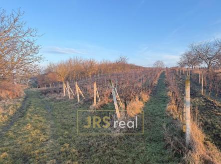 Fotka 3 | Prodej - pozemek, ostatní, 3 139 m²