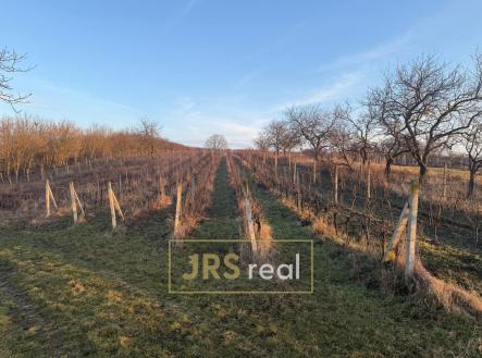 Fotka 4 | Prodej - pozemek, ostatní, 3 139 m²