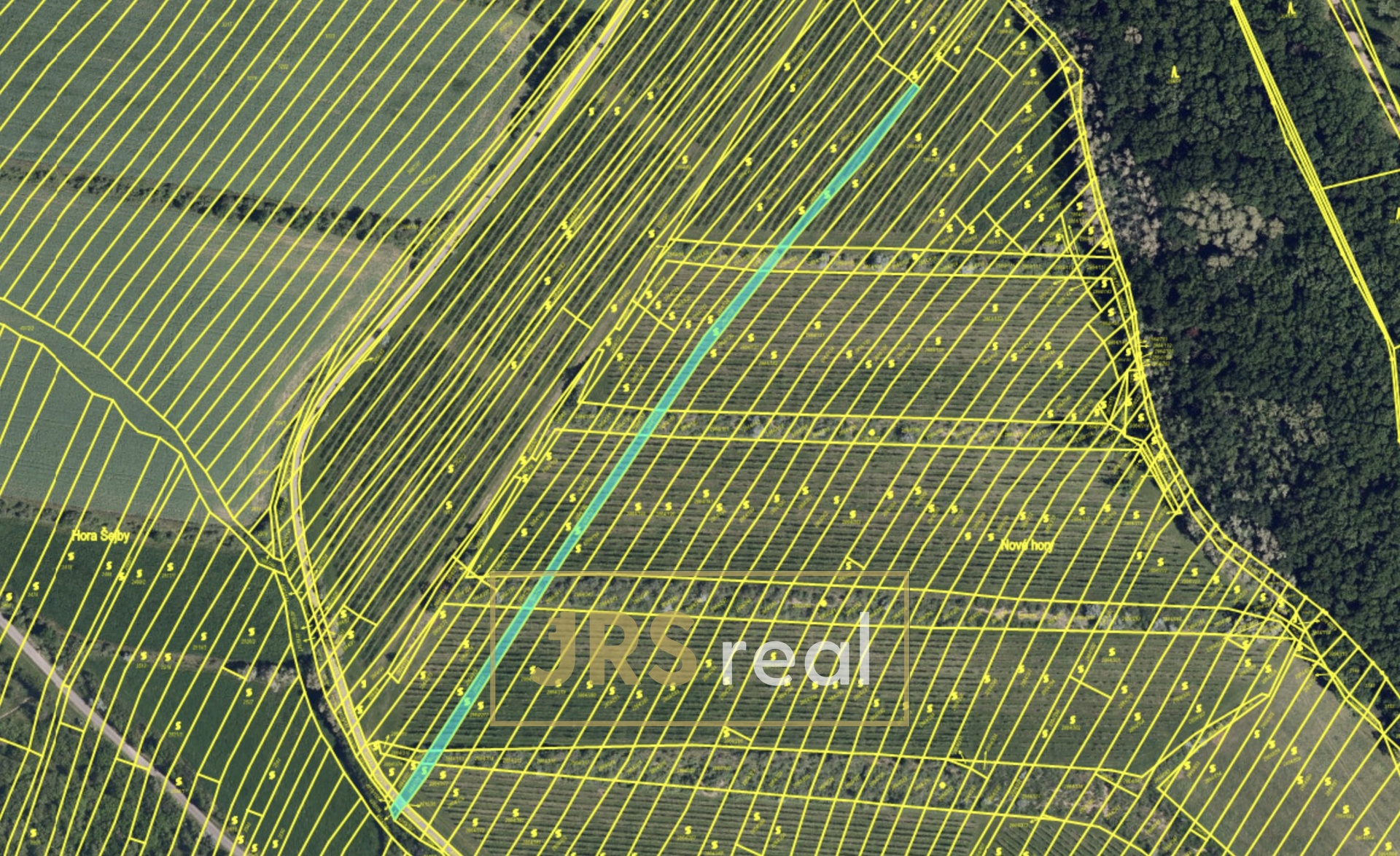 Snímek obrazovky 2026-02-12 v 22.01.37