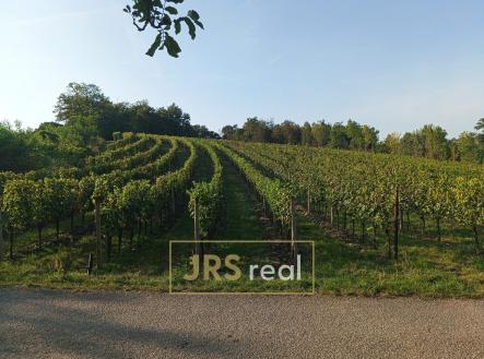 WhatsApp Image 2026-02-16 at 12.39.29 | Prodej - pozemek, ostatní, 3 399 m²