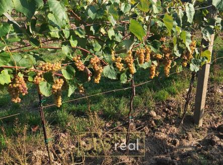 WhatsApp Image 2026-02-16 at 12.39.29 (2) | Prodej - pozemek, ostatní, 3 399 m²