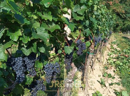 WhatsApp Image 2026-02-16 at 12.39.30 (3) | Prodej - pozemek, ostatní, 3 399 m²