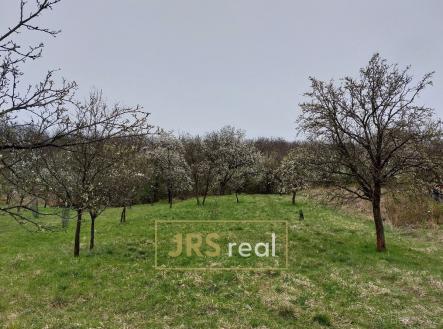 214965254 (2) | Prodej - pozemek, ostatní, 4 446 m²