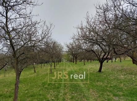 214965254 | Prodej - pozemek, ostatní, 4 446 m²