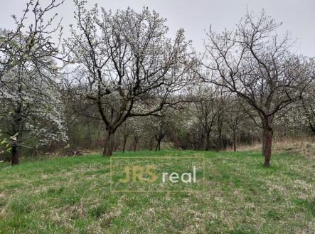 214965254 (3) | Prodej - pozemek, ostatní, 4 446 m²