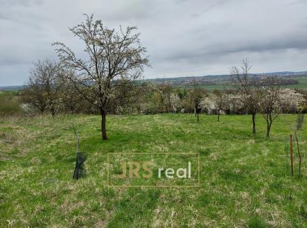 214965254 (5) | Prodej - pozemek, ostatní, 4 446 m²