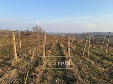 5 | Prodej - pozemek, ostatní, 2 669 m²