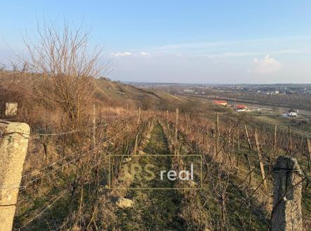 6 | Prodej - pozemek, ostatní, 2 669 m²