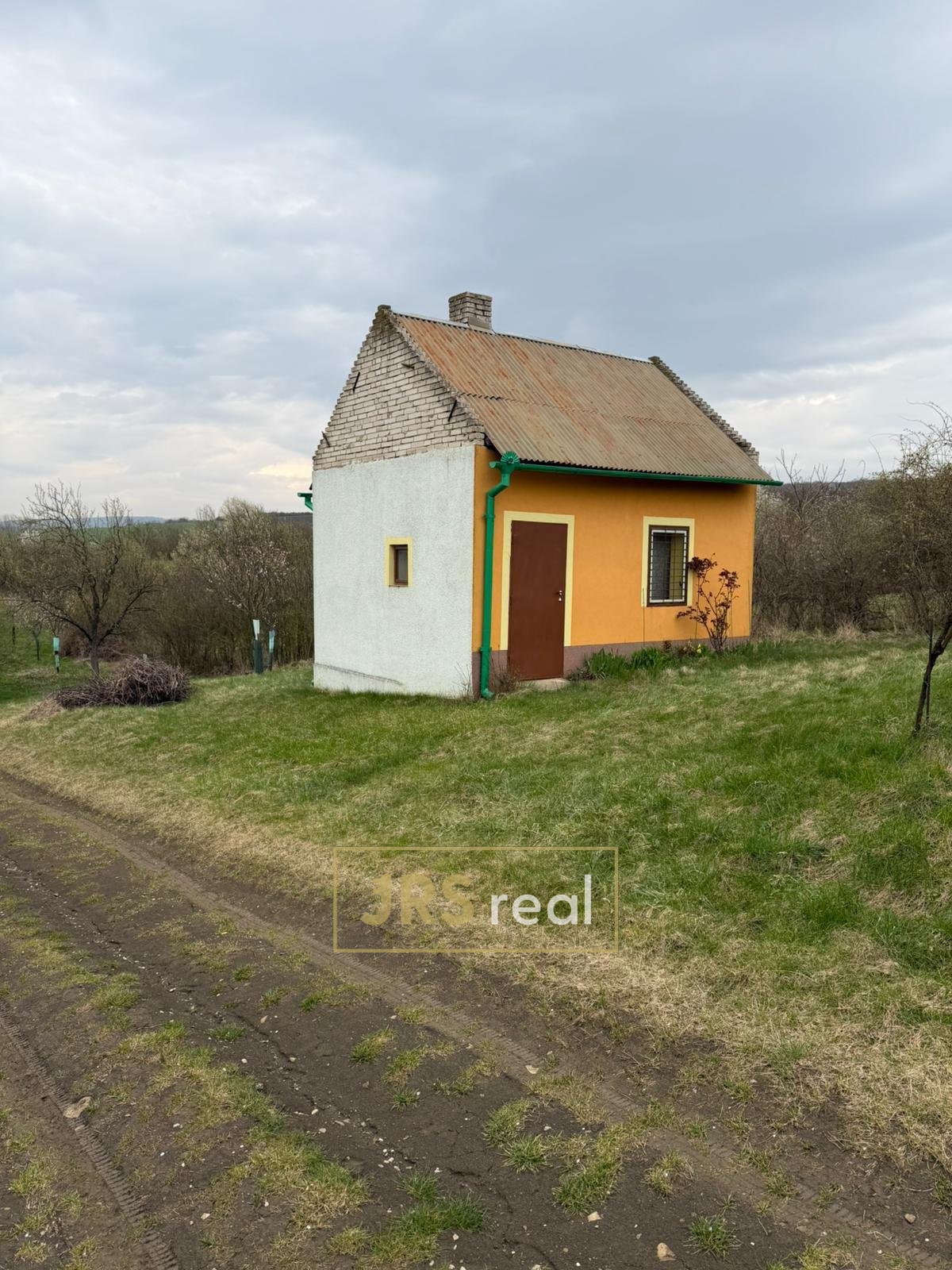 WhatsApp Image 2026-04-02 at 13.02.43 (3)