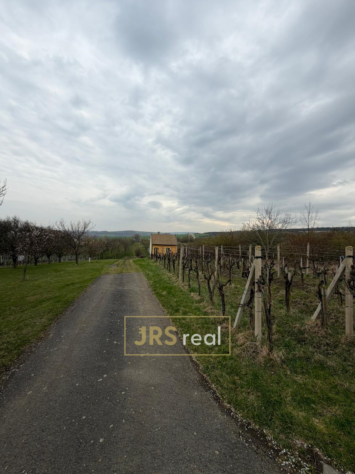 WhatsApp Image 2026-04-02 at 13.02.43 (1)