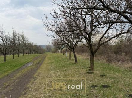 WhatsApp Image 2026-04-02 at 13.02.44 | Prodej - pozemek, ostatní, 2 997 m²