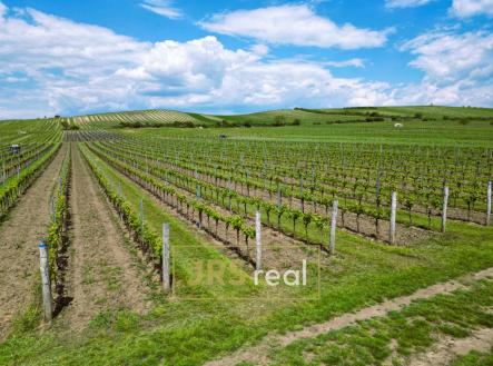 WhatsApp Image 2026-05-21 at 13.13.19 (4) | Prodej - pozemek, ostatní, 4 926 m²