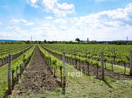 WhatsApp Image 2026-05-21 at 13.14.59 (4) | Prodej - pozemek, ostatní, 3 474 m²