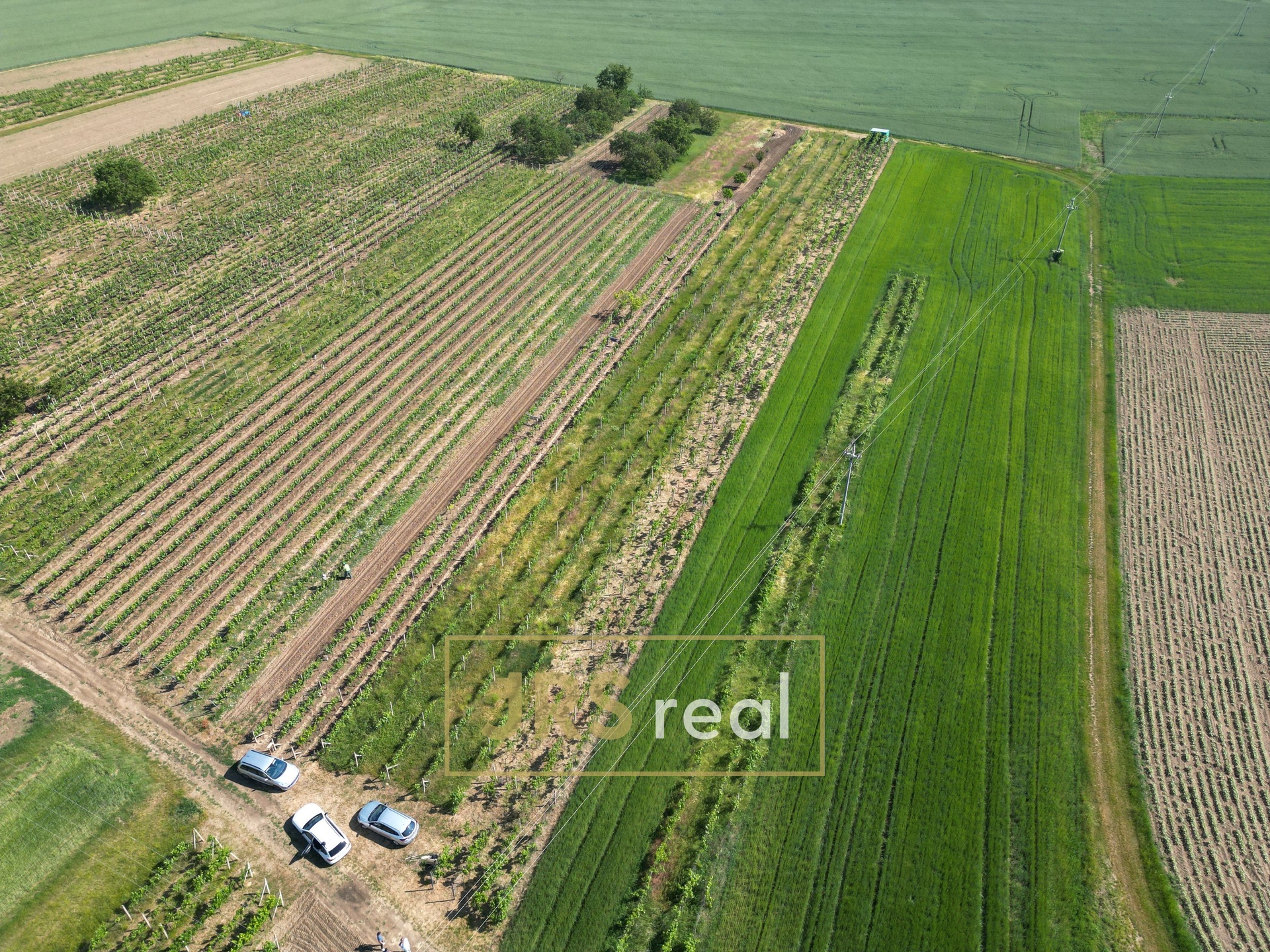 DJI_0108
